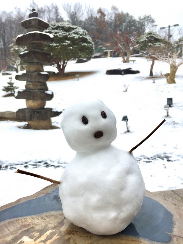 눈사람 설경 풍경 조경 가드닝 나들이 데이트코스 정원가꾸기 파주 고양 일산 탄현면 파주가볼만한곳 뷰 야외테이…